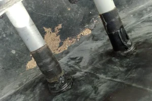 WhatsApp-Image-2026-01-25-at-12.10.57-AM