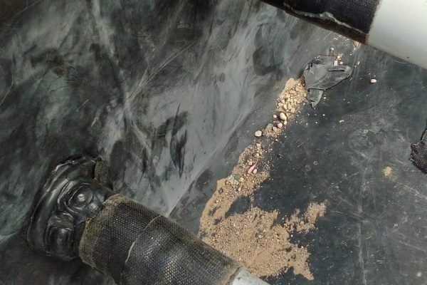 WhatsApp Image 2026-01-25 at 12.10.57 AM