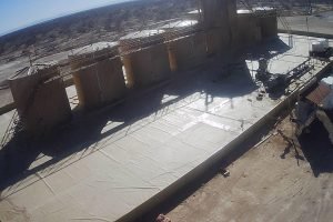 WhatsApp Image 2026-01-25 at 12.10.59 AM