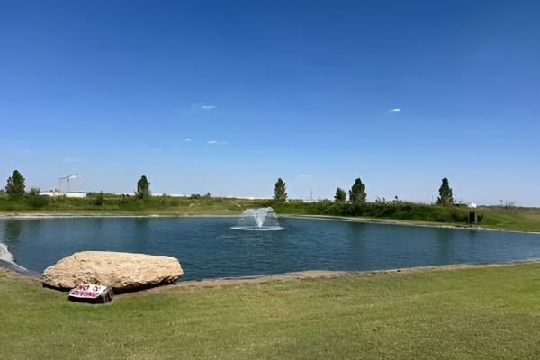 image-4-e1770332366671 (1)